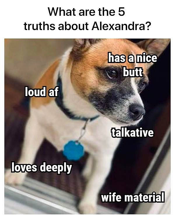 Yela is registered to the contest to win money with this photo: carnivore, collar, companion_dog, dog, dog_breed, dog_collar, dog_supply, fashion_accessory, font, fur, happy, internet_meme, pet_supply, photo_caption, product, snout, stock_photography, table, terrestrial_animal, whiskers