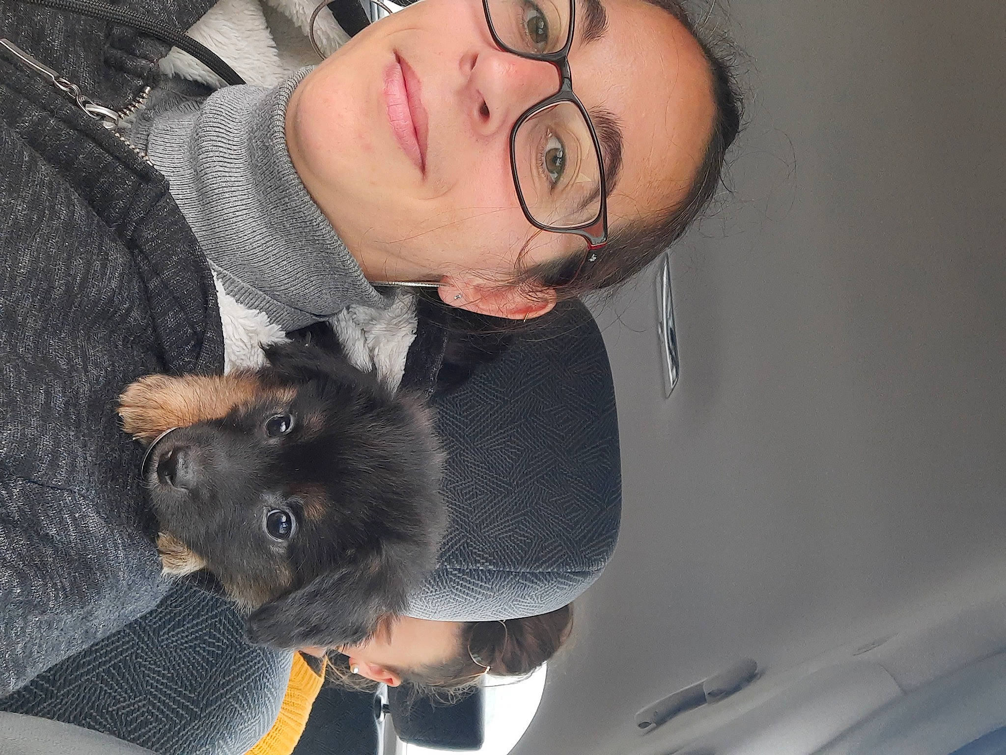 Tyson a rejoint le concours — aidez-le/la à gagner de superbes lots ! canidae, carnivore, companion_dog, dog_breed, ear, fur, neck, snout