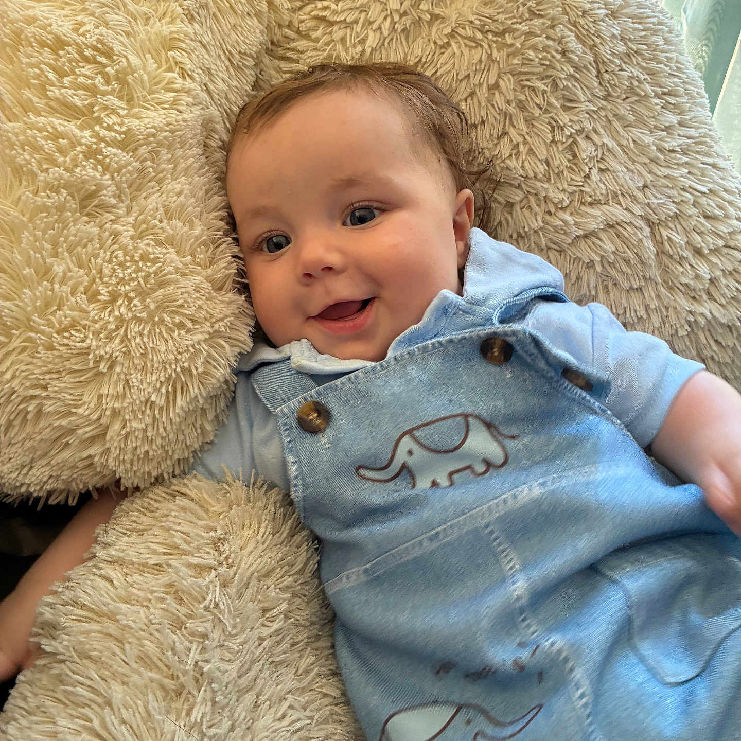 Paul a rejoint le concours — aidez-le/la à gagner de superbes lots ! baby, child, smiling, blue_overalls, elephant_print, cushion, fluffy, comfort, indoor, cute, portrait, happy, infant, clothing, person, head, face, light, relaxed, cozy