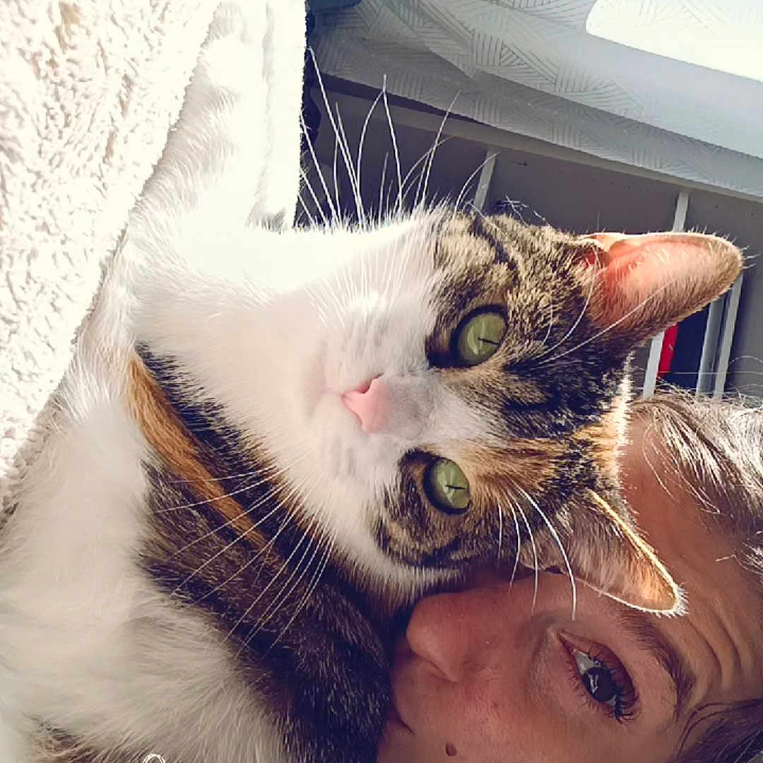 Kitty participe au concours pour gagner de l'argent avec cette photo : abyssinian, accessories, adult, animal, bodypart, cat, face, female, head, indoors, kitten, manx, mouth, person, pet, photography, portrait, selfie, teeth, woman