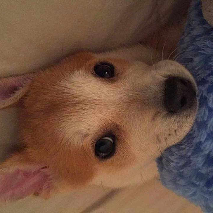 Copper