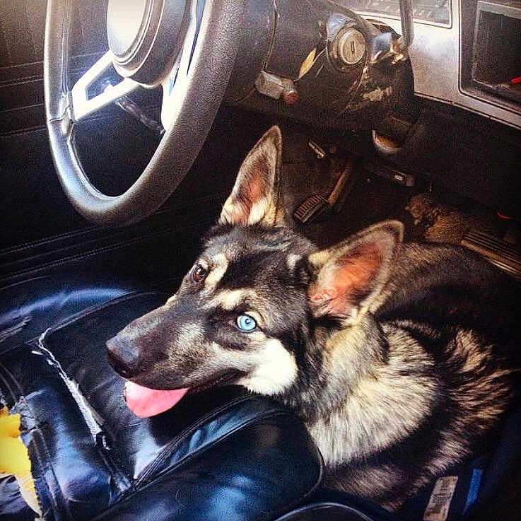 Nitro is registered to the contest to win money with this photo:
