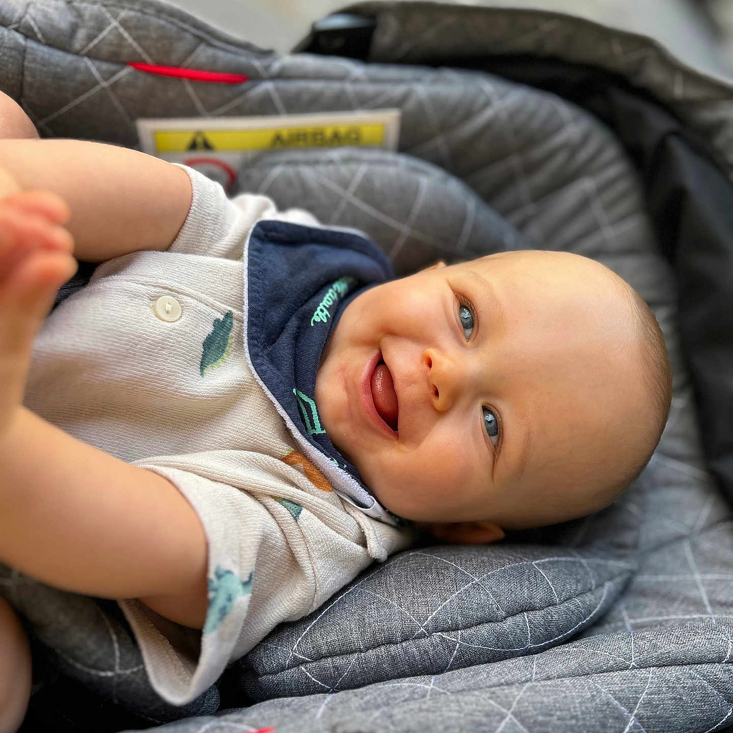 Noah participe au concours pour gagner de l'argent avec cette photo : baby, blue_eyes, car_seat, child, closeup, clothing, cute, face, gray, hands, happy, head, infant, portrait, quilted, seatbelt, short_sleeve, skin, smiling, tongue