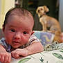 baby, infant, face, person, dog, pet, blurred_background, cushion, leaf_pattern, home, indoor, curious, lying_down, close_up, skin, hair, hand, expression, animal, domestic