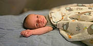 Dominic is registered to the contest to win money with this photo: baby, infant, blanket, bed, quilt, animal_print, sleeping, face, arm, cozy, cute, indoor, soft, resting, child, newborn, person, lying_down, comfort, peaceful
