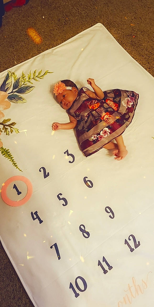 Rainn joined the competition — help win amazing prizes! a_la_carte_food, art, arthropod, carmine, comfort_food, cuisine, event, eyewear, fashion_accessory, finger_food, font, illustration, insect, jewellery, moths_and_butterflies, pattern, person, pollinator, sweetness, textile