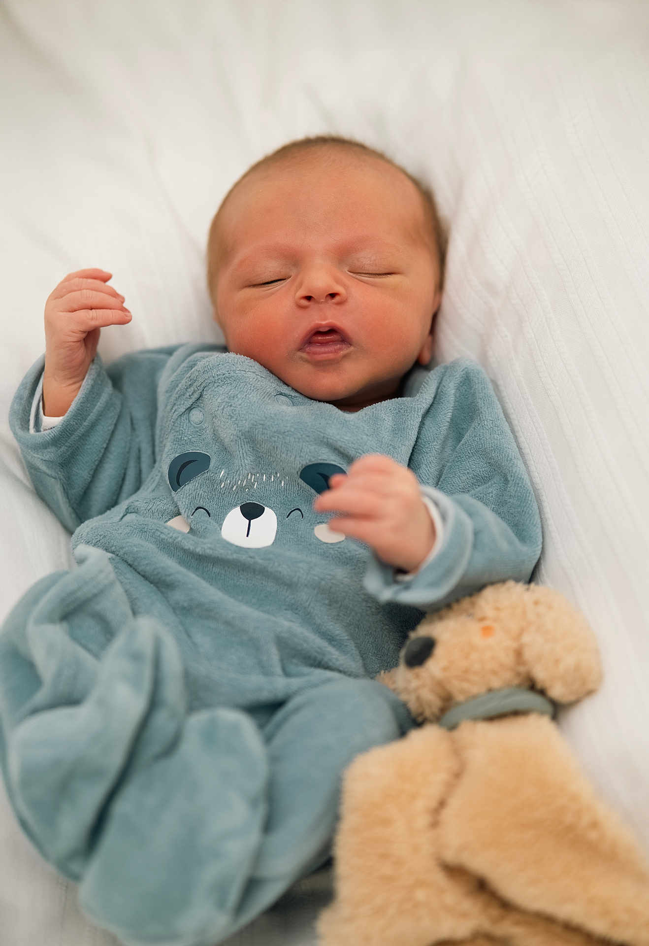 Noé participe au concours pour gagner de l'argent avec cette photo : newborn, baby, sleeping, onesie, blue_clothing, plush_toy, dog_toy, bed, blanket, infant, cute, cozy, face, hands, soft, child, portrait, resting, peaceful, indoors