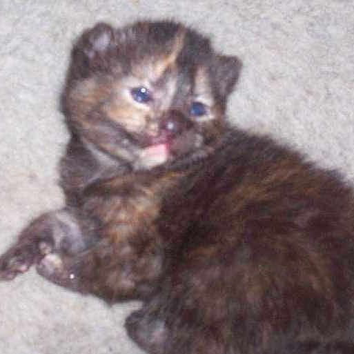 Sophia is registered to the contest to win money with this photo: