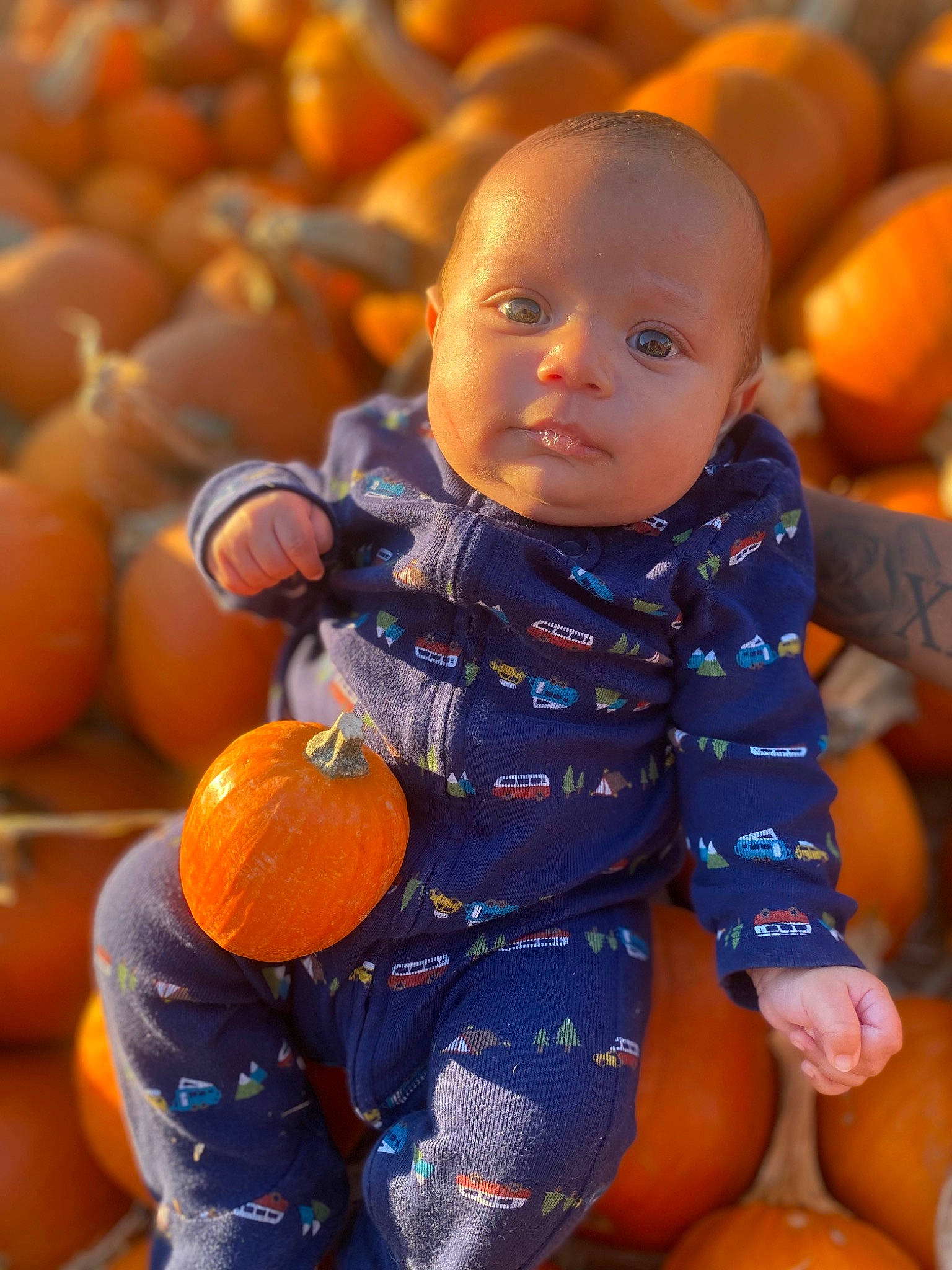 Legend is registered to the contest to win money with this photo: baby, baby_toddler_clothing, calabaza, eye, facial_expression, fun, hairstyle, happy, human_body, leg, natural_foods, orange, organ, people_in_nature, person, playing_with_kids, pumpkin, squash, standing, toddler