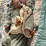 baby, infant, pacifier, plush_toy, duck, onesie, green_clothing, cushion, patterned_bedding, sleeping_area, child, soft_toy, cute, indoors, resting, blanket, comfort, small_hand, head, face