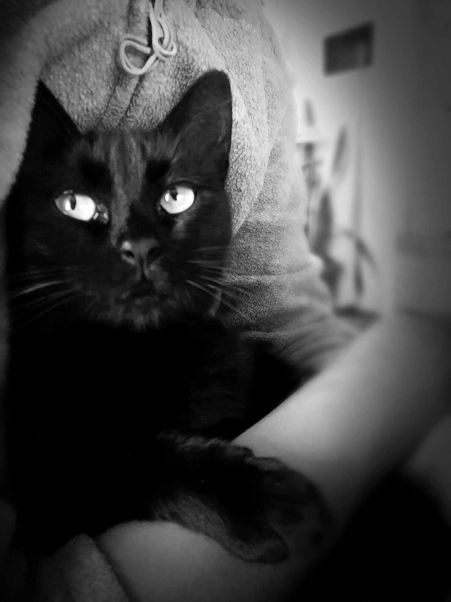 Doudou