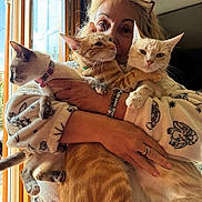 Omerta a rejoint le concours — aidez-le/la à gagner de superbes lots ! person, cat, indoor, window, holding, three_cats, robe, patterned_clothing, light, sunlight, feline, pet, animal, cozy, affection, hands, bracelet, ring, closeup, domestic