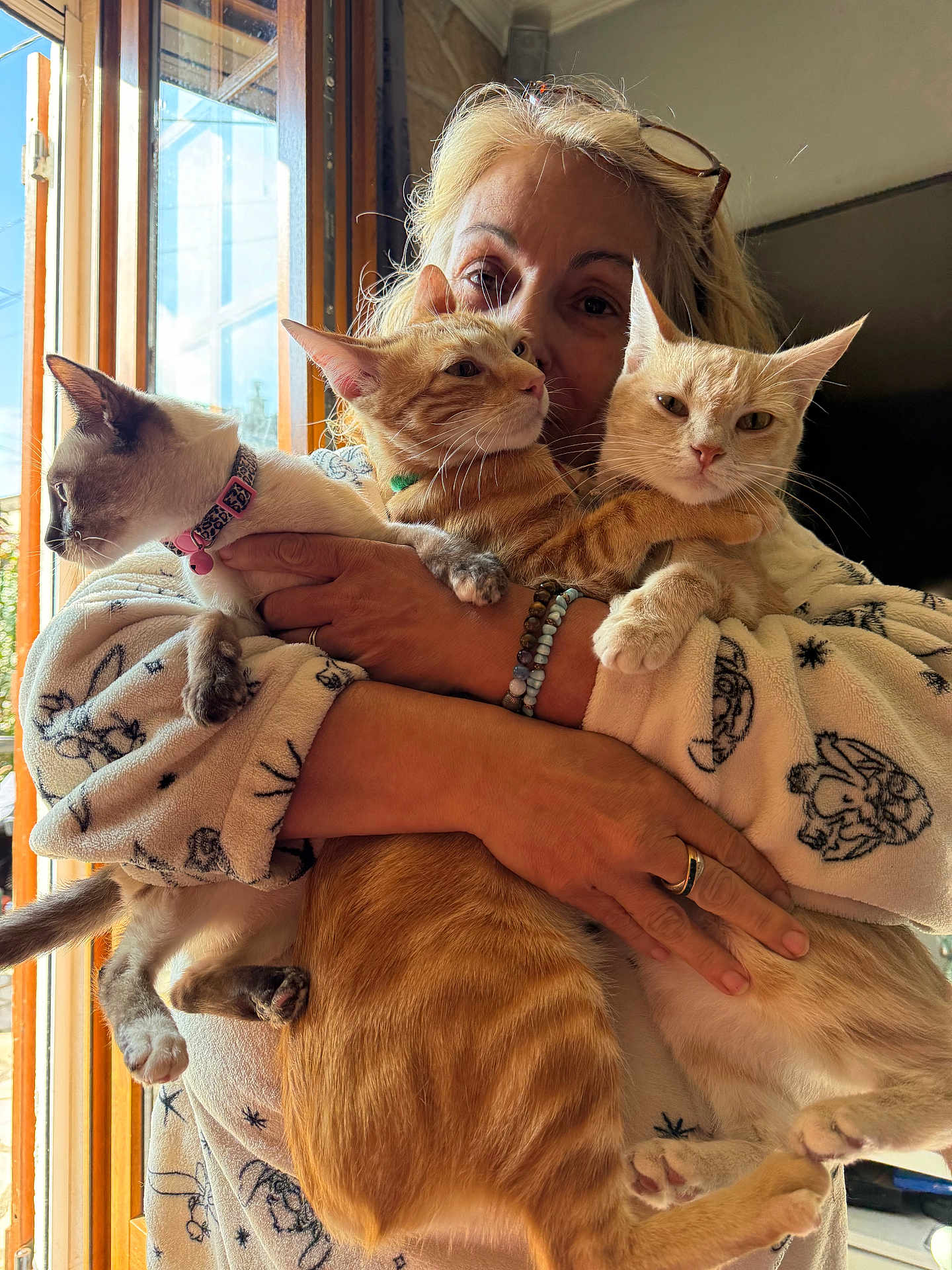 Omerta a rejoint le concours — aidez-le/la à gagner de superbes lots ! person, cat, indoor, window, holding, three_cats, robe, patterned_clothing, light, sunlight, feline, pet, animal, cozy, affection, hands, bracelet, ring, closeup, domestic
