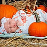 baby, infant, sleeping, pumpkin, pumpkin_patch, autumn, harvest, straw, blanket, headband, onesie, orange, cozy, portrait, outdoor, seasonal, still_life, farm, face, newborn