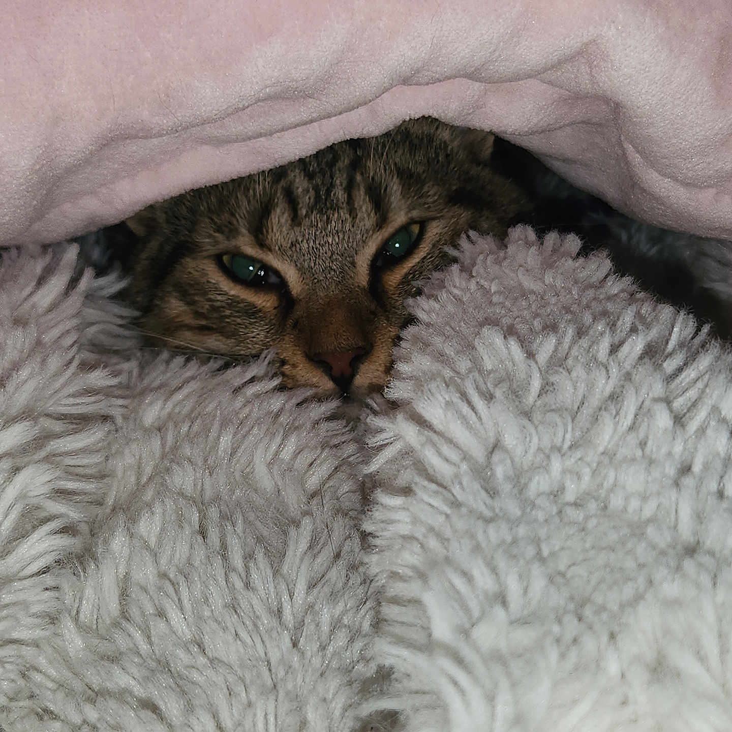 Kiko