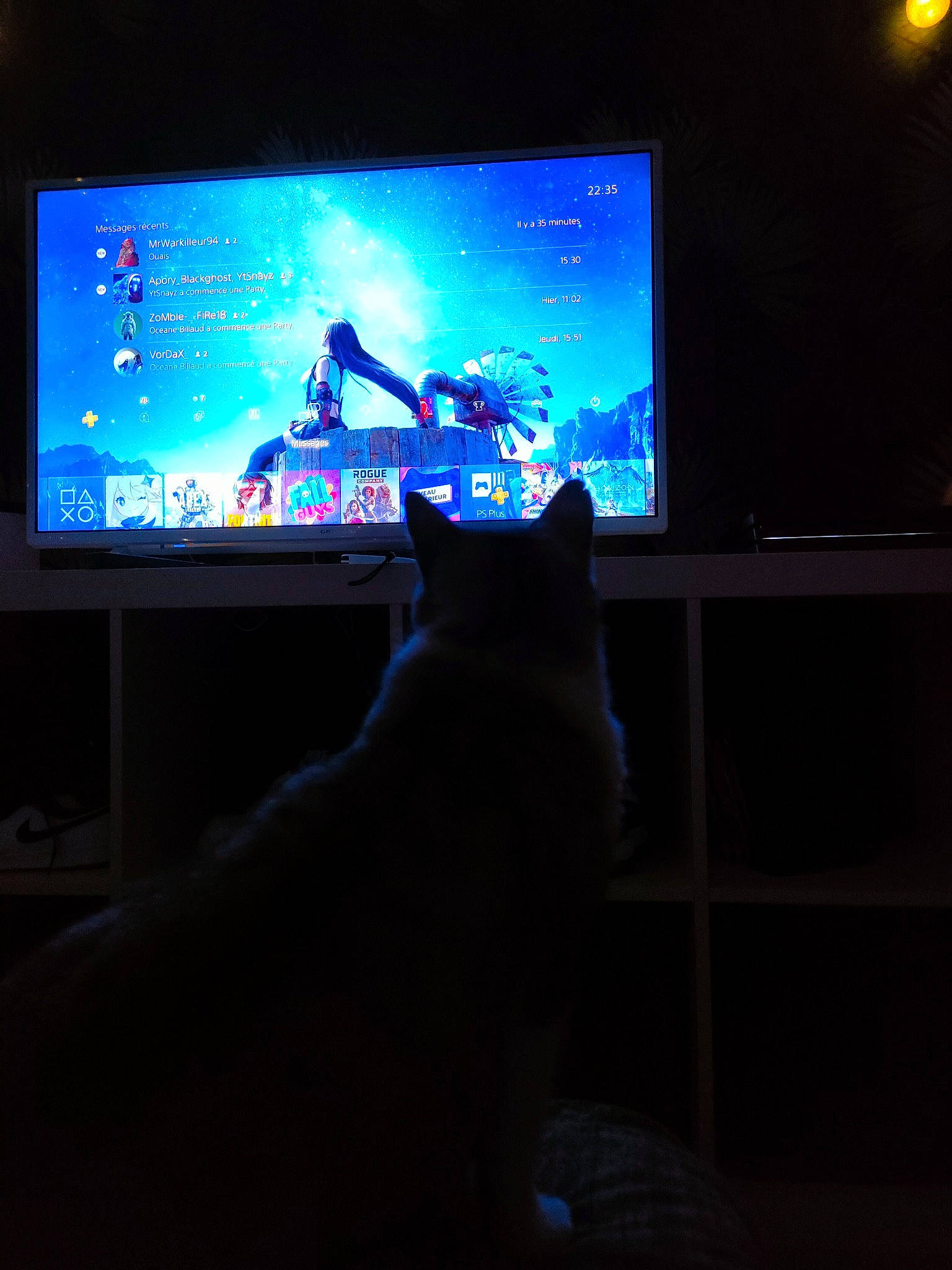 Chachou a rejoint le concours — aidez-le/la à gagner de superbes lots ! audio_equipment, cable_television, carnivore, cat, computer_monitor_accessory, display_device, electric_blue, electronic_device, entertainment, flat_panel_display, gadget, guitar, led_backlit_lcd_display, multimedia, musical_instrument, output_device, technology, television, television_program, television_set