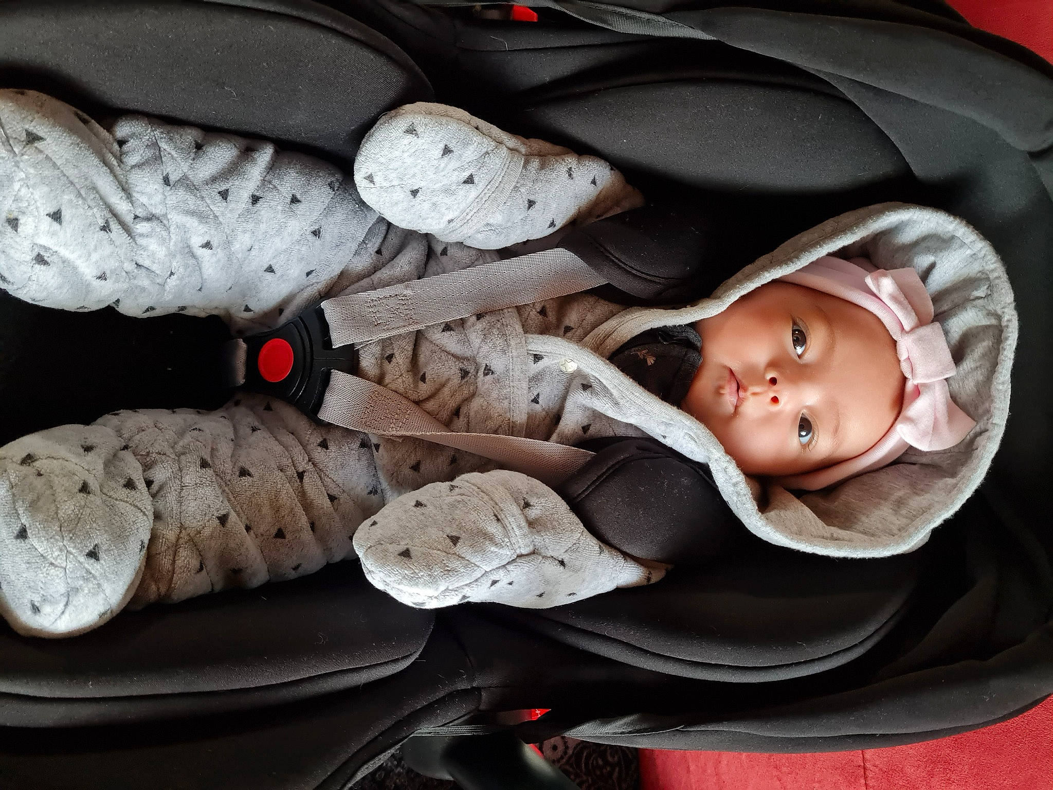 Keïssy participe au concours pour gagner de l'argent avec cette photo : auto_part, baby, baby_carriage, baby_products, beanie, beauty, car_seat, carmine, child, comfort, fashion_accessory, hat, headwear, linens, person, product, sitting, sleep, toddler, tree