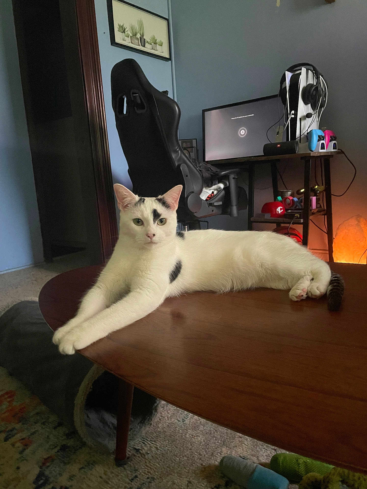 Meowth joined the competition — help win amazing prizes! cat, white_cat, black_spots, table, wooden_table, gaming_chair, monitor, headphones, game_controllers, living_room, carpet, cat_tunnel, relaxed, stretching, indoor, technology, furniture, pet, cozy, electronics