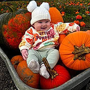 Florence joined the competition — help win amazing prizes! baby, child, pumpkin, wheelbarrow, hat, sweater, autumn, field, orange, smile, cute, outdoor, fall, nature, seasonal, harvest, grass, person, happy, fun