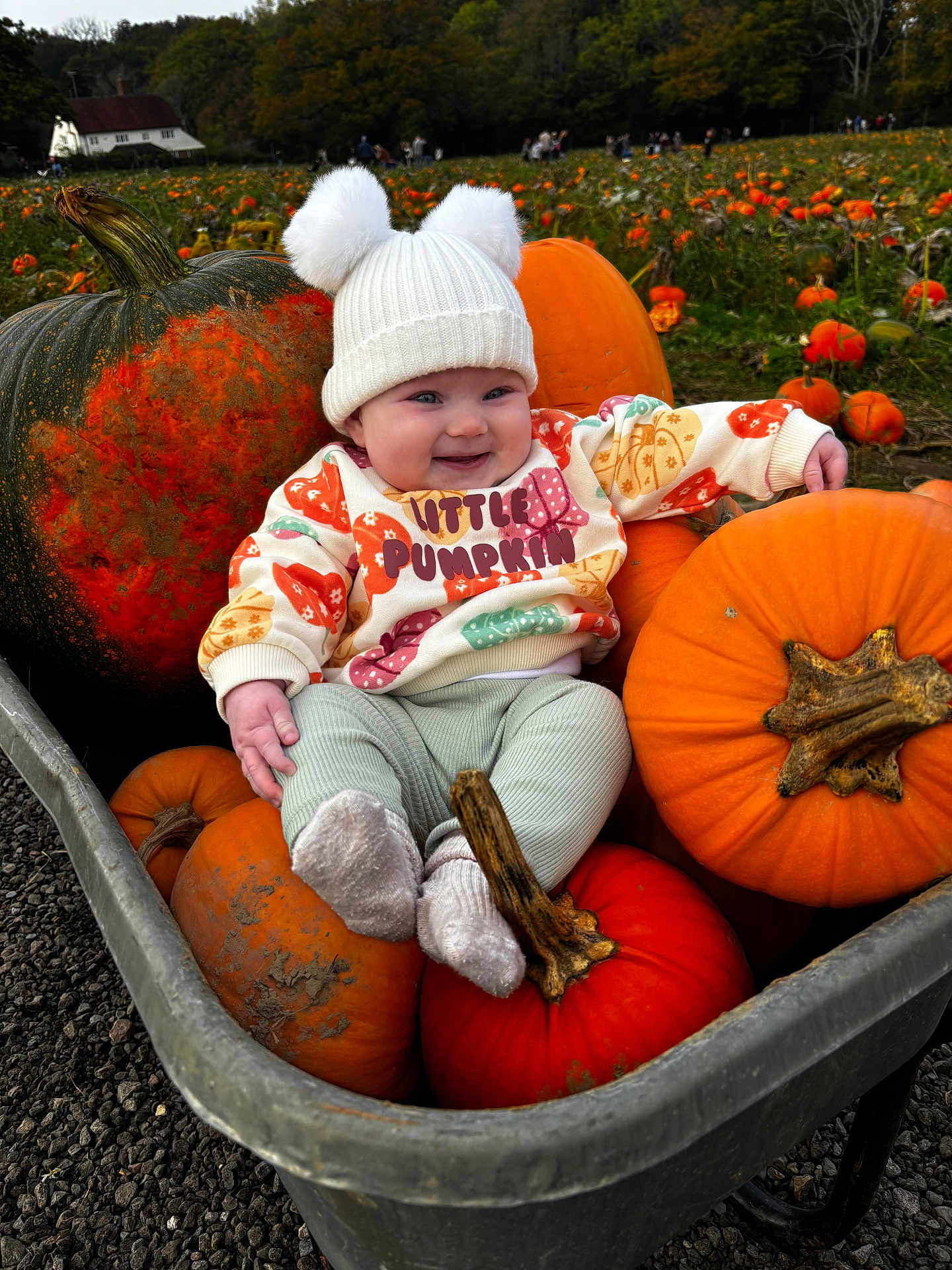 Florence joined the competition — help win amazing prizes! baby, child, pumpkin, wheelbarrow, hat, sweater, autumn, field, orange, smile, cute, outdoor, fall, nature, seasonal, harvest, grass, person, happy, fun