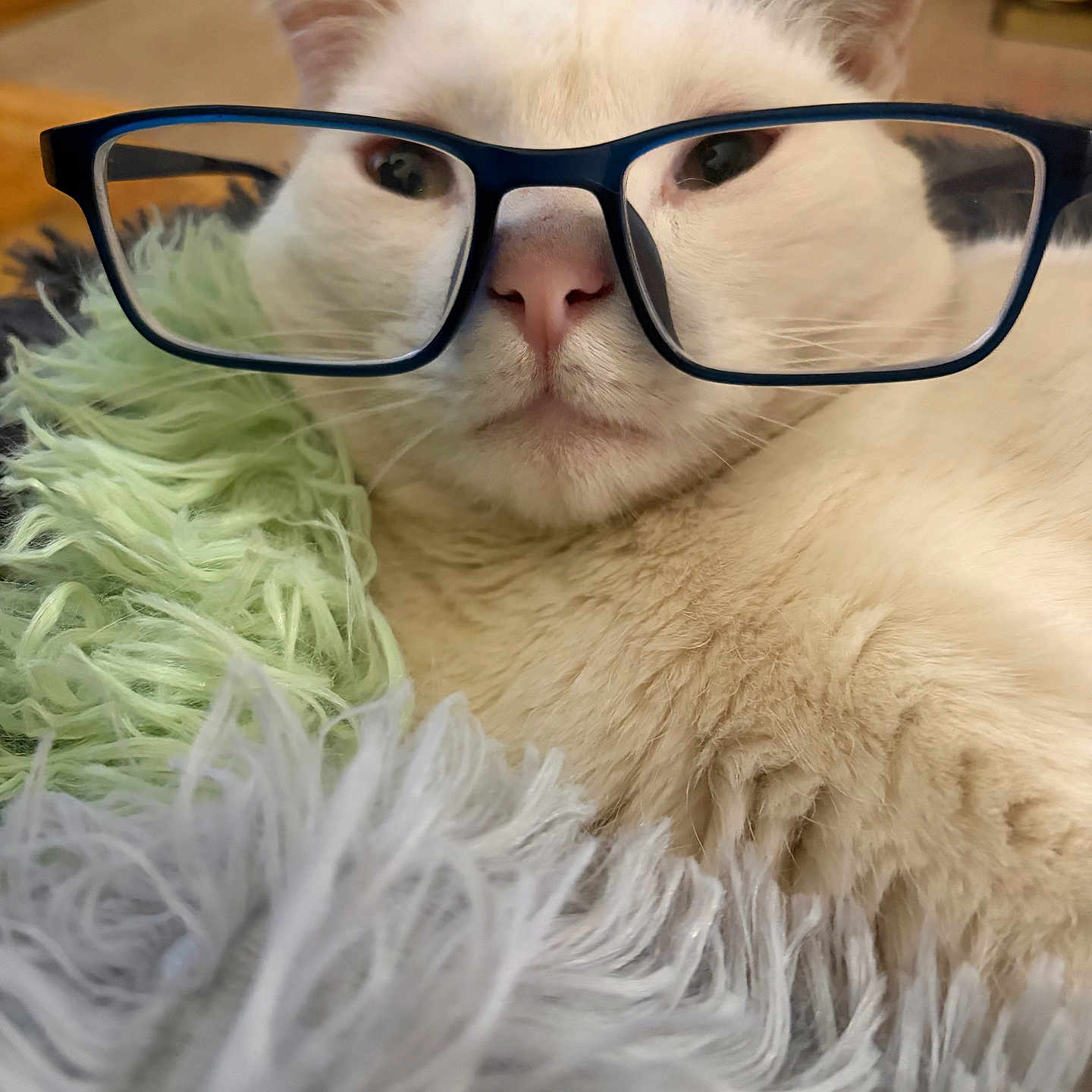 Percy