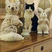 Bandit a rejoint le concours — aidez-le/la à gagner de superbes lots ! cat, black_and_white, plush_toy, stuffed_animal, wooden_dresser, oil_lamp, indoor, feline, decor, vintage, furniture, animal, pet, soft_toy, sitting, curious, domestic, cozy, still_life, tabletop
