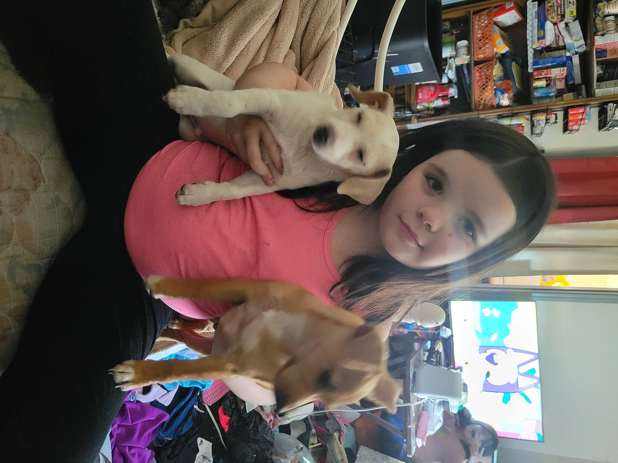 Clifford joined the competition — help win amazing prizes! canidae, child, companion_dog, costume, fawn, flooring, fun, fur, leisure, mammal, plush, retail, room, shelf, shelving, sporting_group, stuffed_toy, toy, vacation, vertebrate