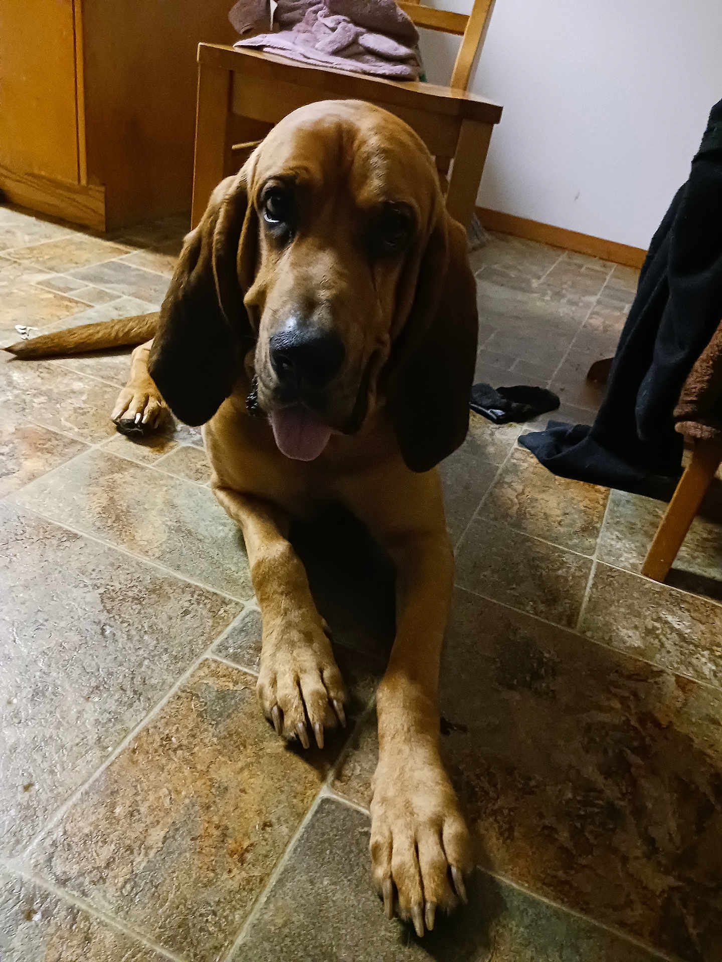 Amos