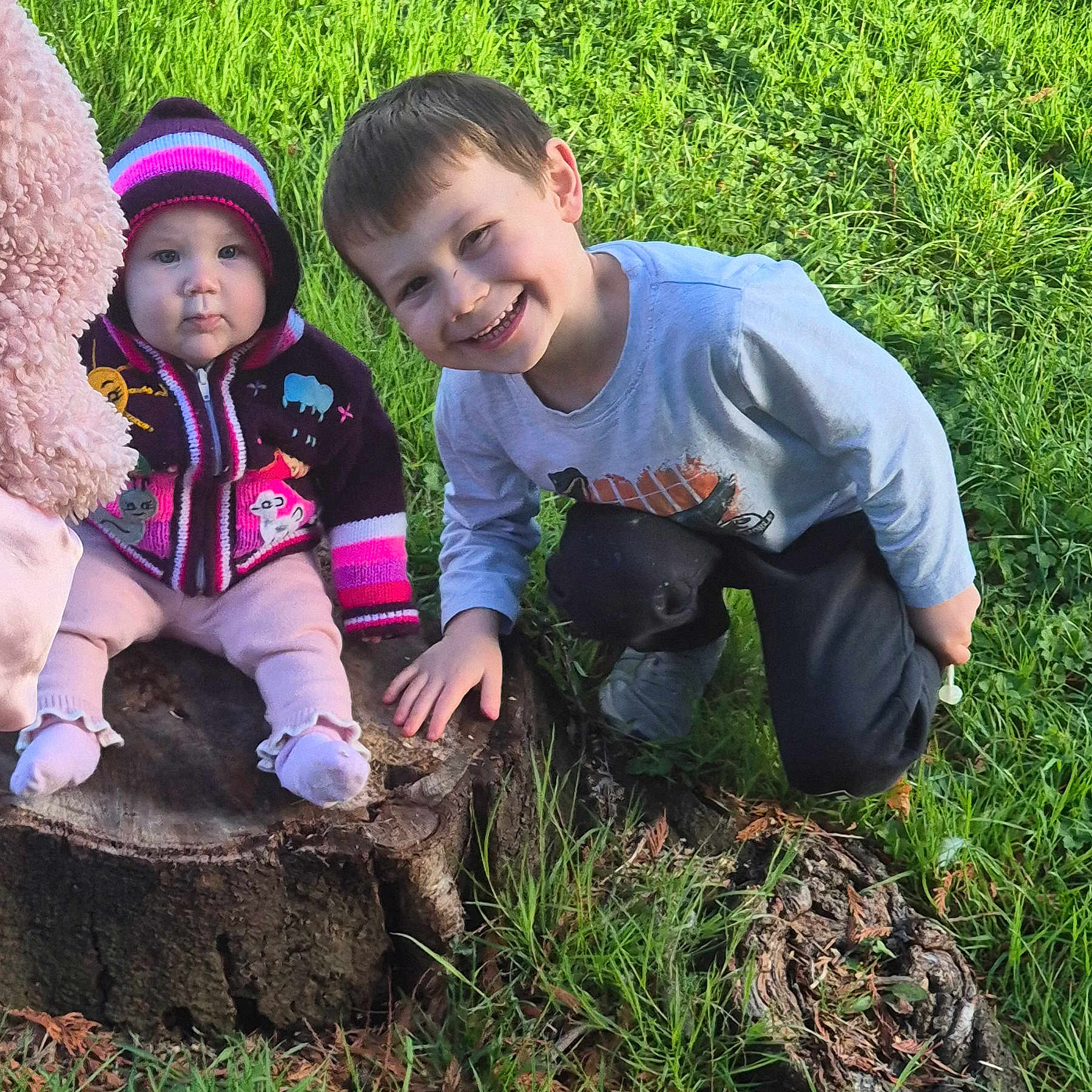 Alistair joined the competition — help win amazing prizes! baby, child, crouching, cute, daylight, footwear, grass, greenery, happy, hat, infant, jacket, nature, outdoor, person, playing, smiling, sunlight, sweater, tree_stump