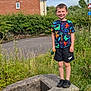 block, boy, brick_wall, child, daytime, dinosaur_pattern, grass, greenery, house, nature, outdoor, plants, residential_area, road, shoes, shorts, smile, standing, stone, tshirt