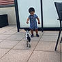 Adem participe au concours pour gagner de l'argent avec cette photo : toddler, child, dog, pet, outdoor, patio, tiles, blue_clothing, shorts, shoes, curly_hair, frosted_glass, chair, pointing, small_dog, black_and_white, playful, daylight, modern, interaction