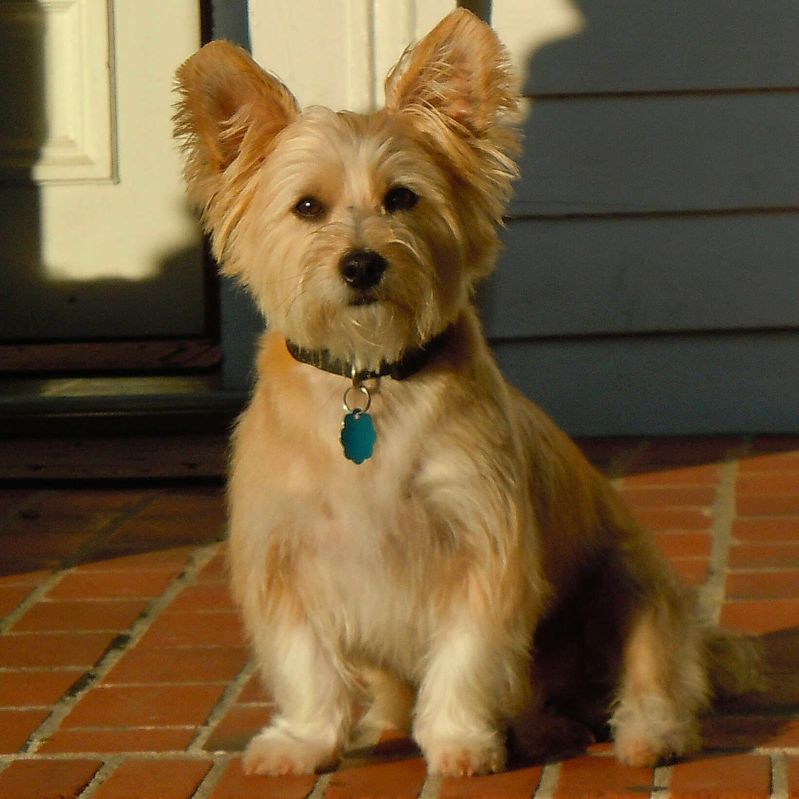 Flynn