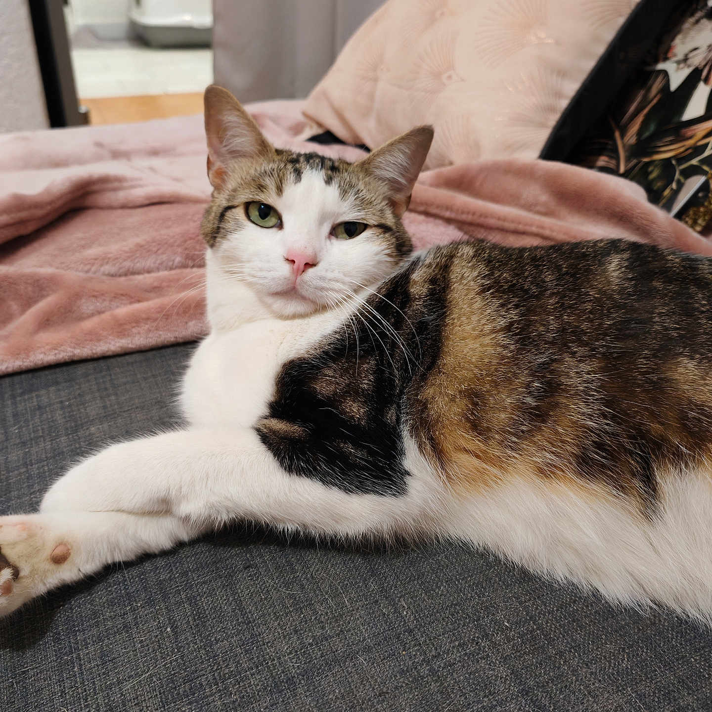 Nala