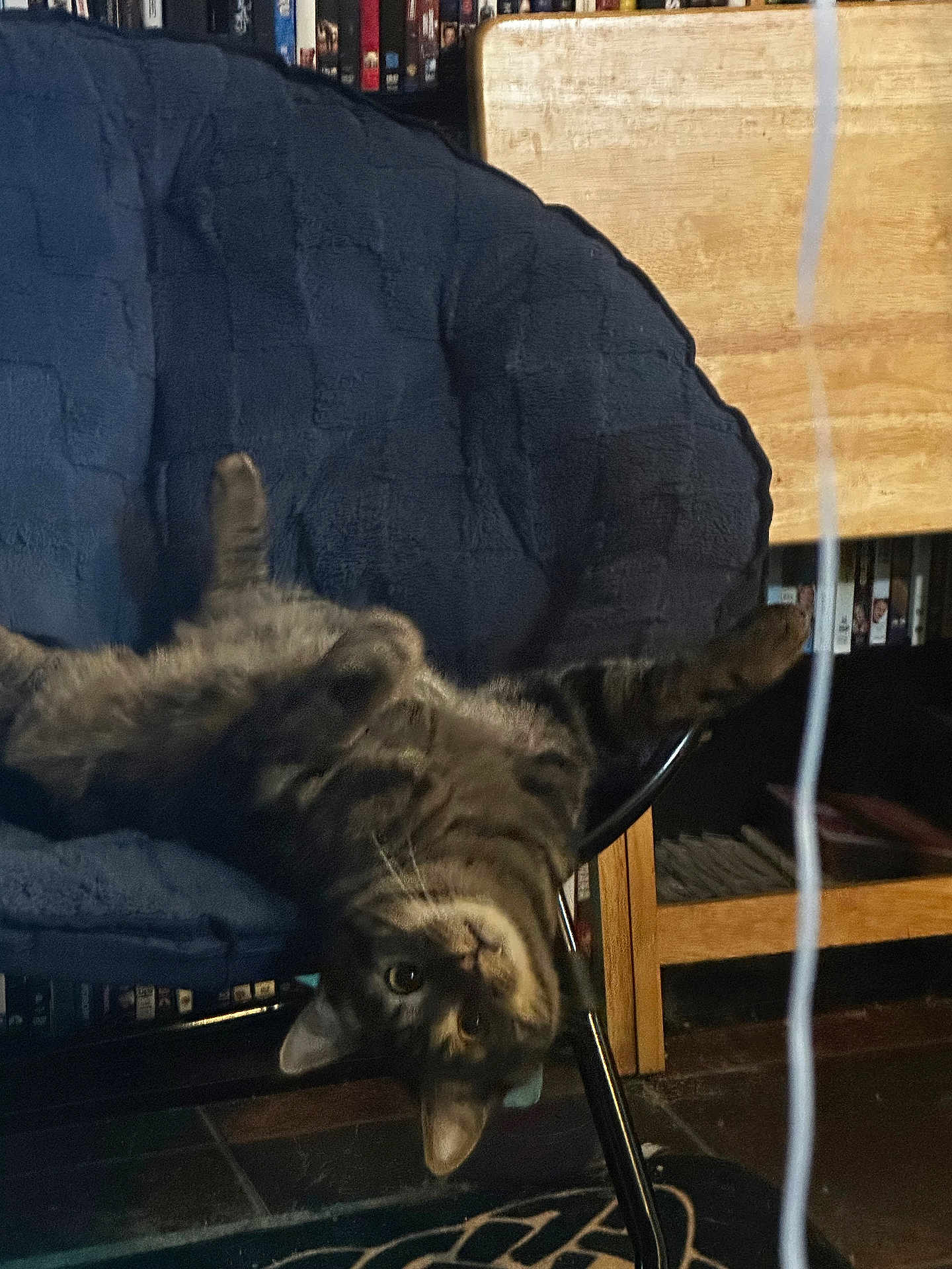 Ollie