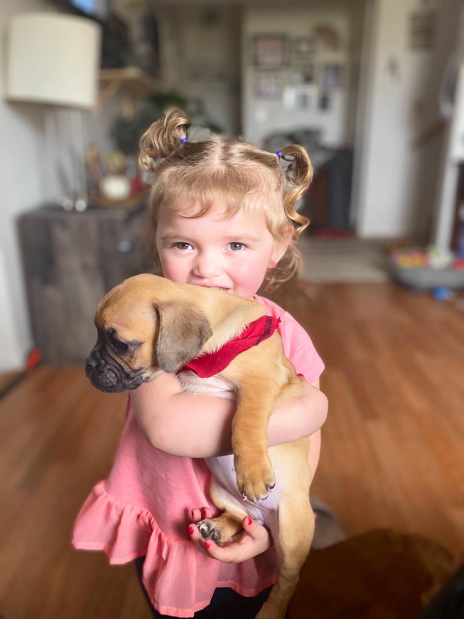 Mykia is registered to the contest to win money with this photo: canidae, carnivore, child, companion_dog, dog, dog_breed, fawn, joy, person, puggle, puppy, puppy_love, rhodesian_ridgeback, sporting_group, toddler
