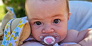 Leyna participe au concours pour gagner de l'argent avec cette photo : baby, pacifier, toy, blanket, closeup, face, hand, infant, cute, child, portrait, outdoor, soft_toy, expression, skin, young, person, comfort, cushion, nature