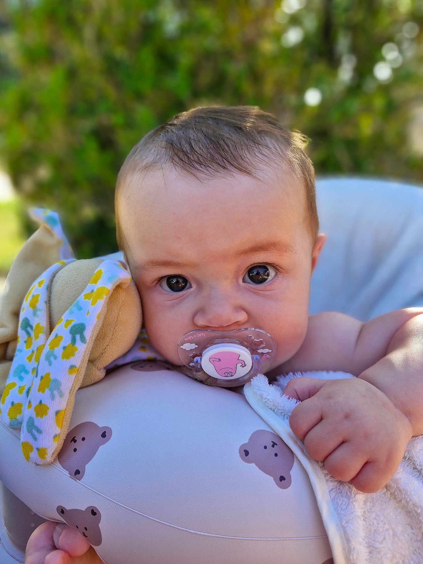 Leyna participe au concours pour gagner de l'argent avec cette photo : baby, pacifier, toy, blanket, closeup, face, hand, infant, cute, child, portrait, outdoor, soft_toy, expression, skin, young, person, comfort, cushion, nature