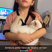 Siméa participe au concours pour gagner de l'argent avec cette photo : casual_clothing, chair, child, curled_cat, earrings, expressionless, floor, furniture, girl, heart_emoji, holding, home, indoor, long_hair, pet, table, television, text_overlay, white_cat, young