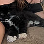 kitten, black_and_white, cat, fur, whiskers, paw, person, arm, hair, feline, pet, cute, closeup, indoor, relaxing, soft, texture, comfort, animal, young