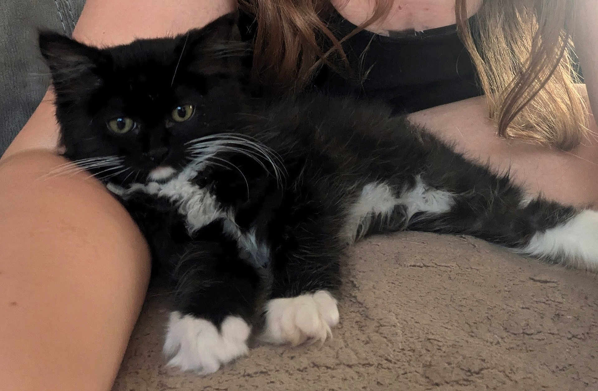 Luna