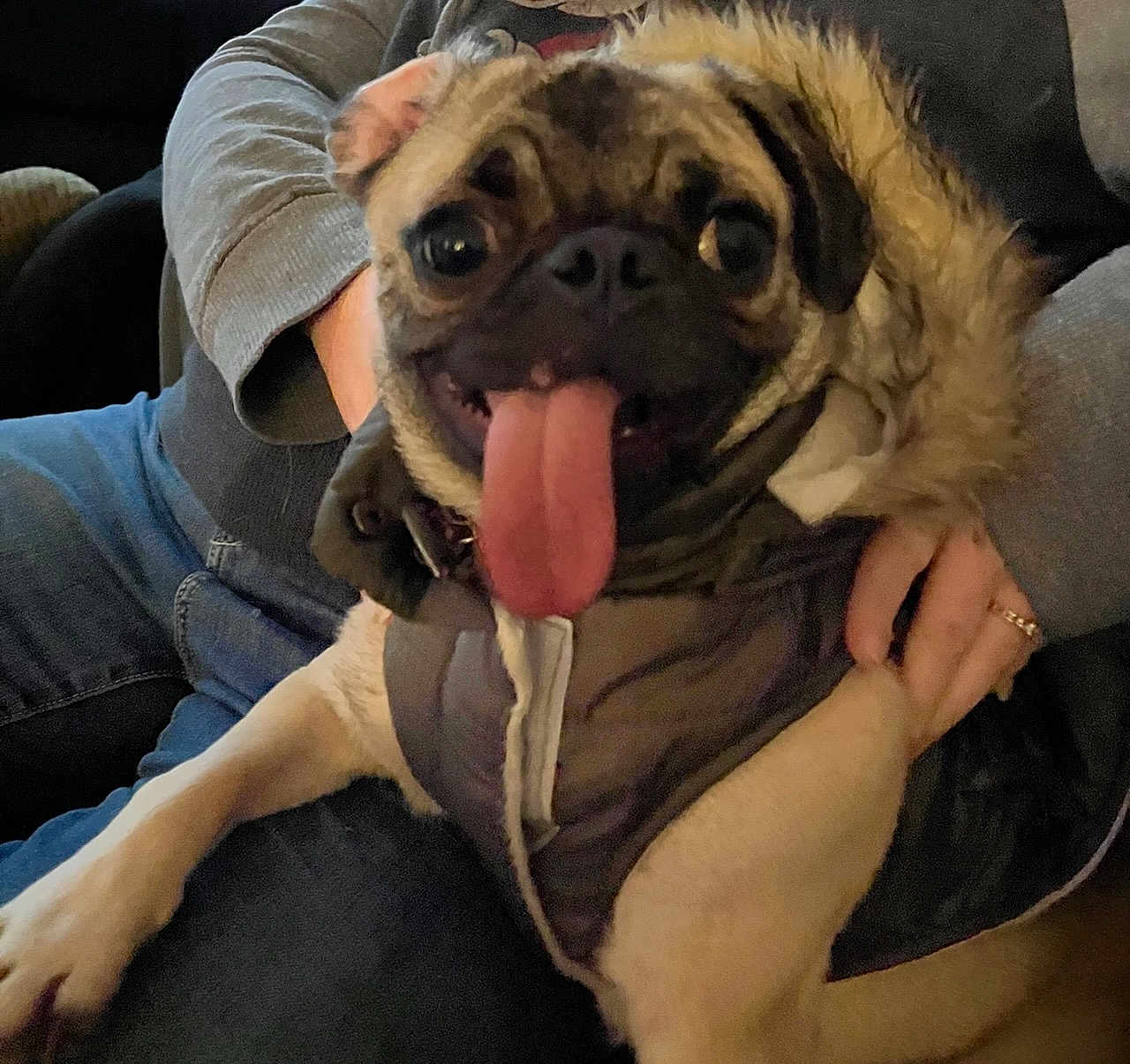 Moxie