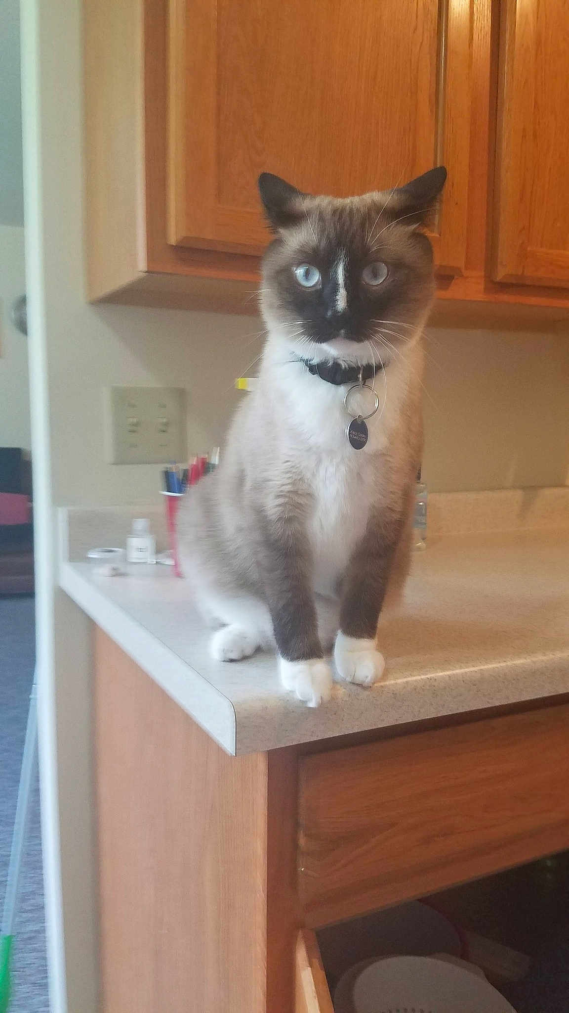 Luigi