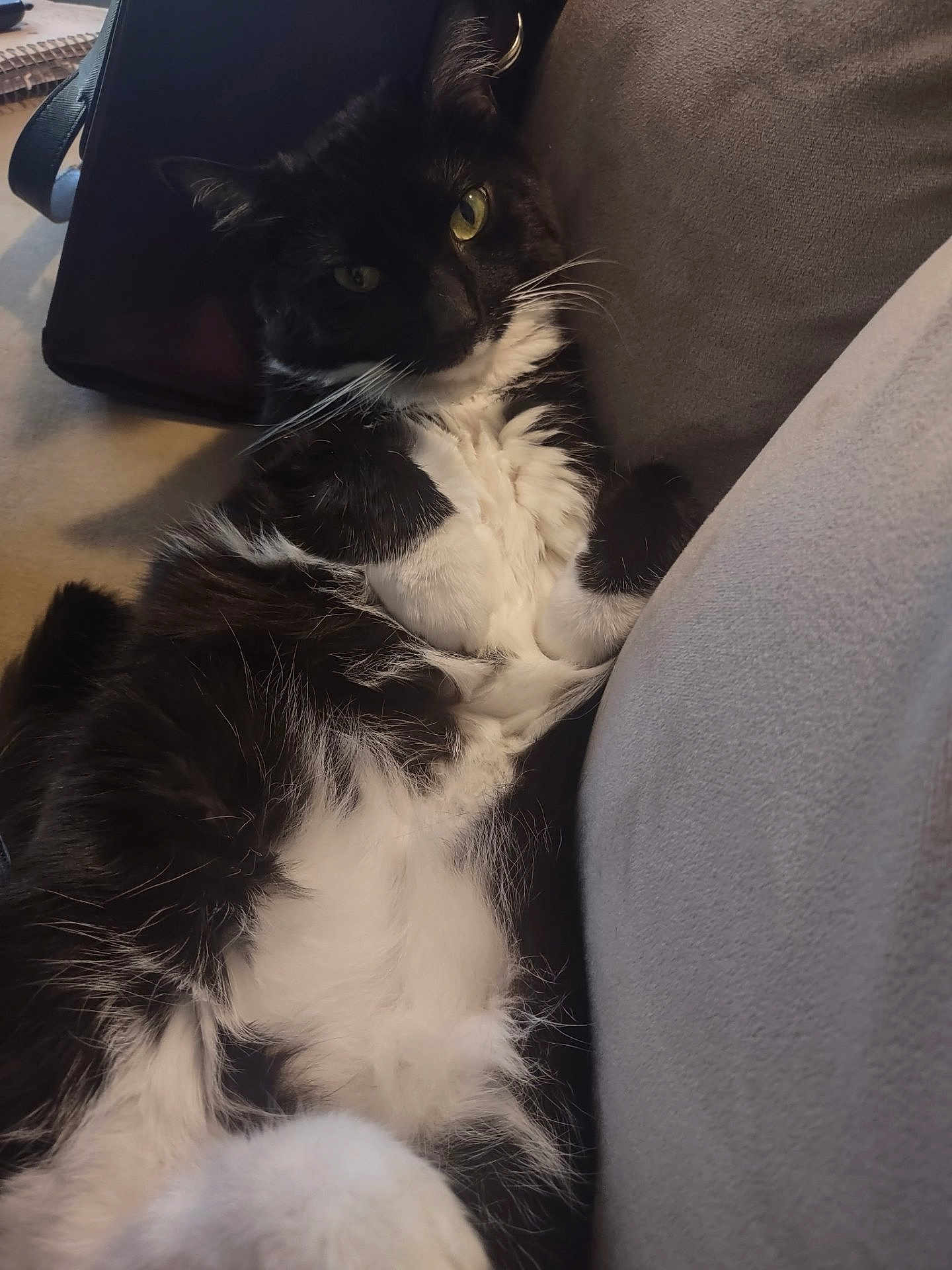 Fiona