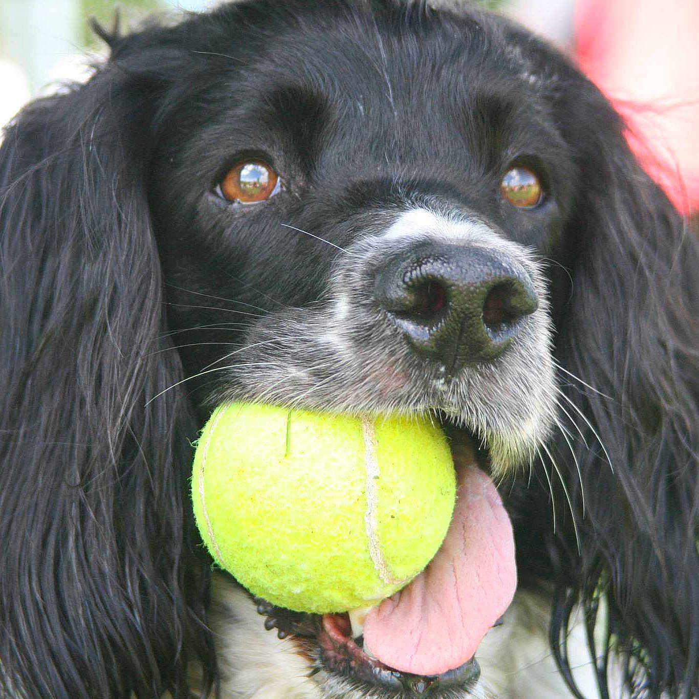 Gizzy is registered to the contest to win money with this photo: