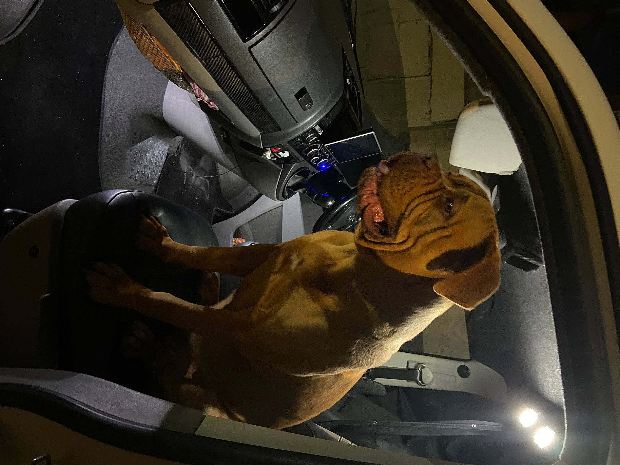 Roxy joined the competition — help win amazing prizes! auto_part, automotive_design, automotive_exterior, automotive_lighting, automotive_mirror, automotive_tire, automotive_wheel_system, car, car_seat, helmet, hood, mode_of_transport, motor_vehicle, personal_luxury_car, steering_part, steering_wheel, tire, vehicle, vehicle_door, wheel