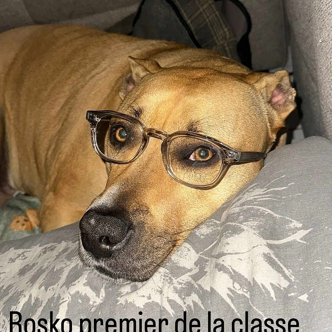Rosko