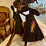 armchair, black_and_tan, blanket, cape, costume, cute, dog, framed_photos, funny, glasses, gryffindor_crest, harry_potter, indoor, living_room, paws, pet, portrait, sitting, small_dog, tie
