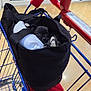 puppy, dog, black_dog, bag, shopping_cart, shopping_mall, floor, tiled_floor, indoor, pet, cute, animal, small_dog, blue_cart, red_handle, peeking, black_bag, pet_in_bag, store, shopping
