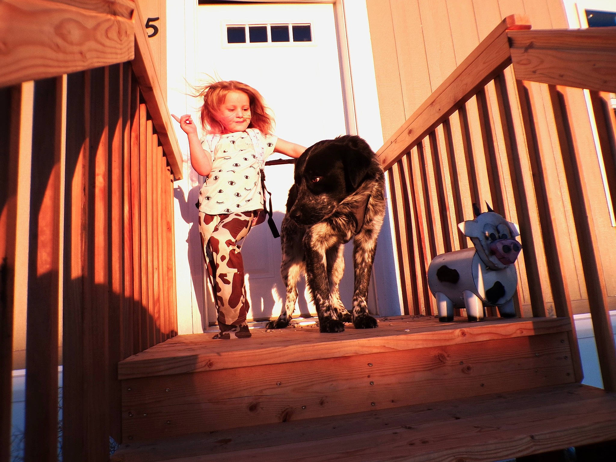 Aricee joined the competition — help win amazing prizes! canidae, carnivore, child, companion_dog, curtain, dog, dog_breed, event, fawn, fun, guard_dog, handrail, joy, leisure, person, shadow, sitting, sporting_group, toy, wood