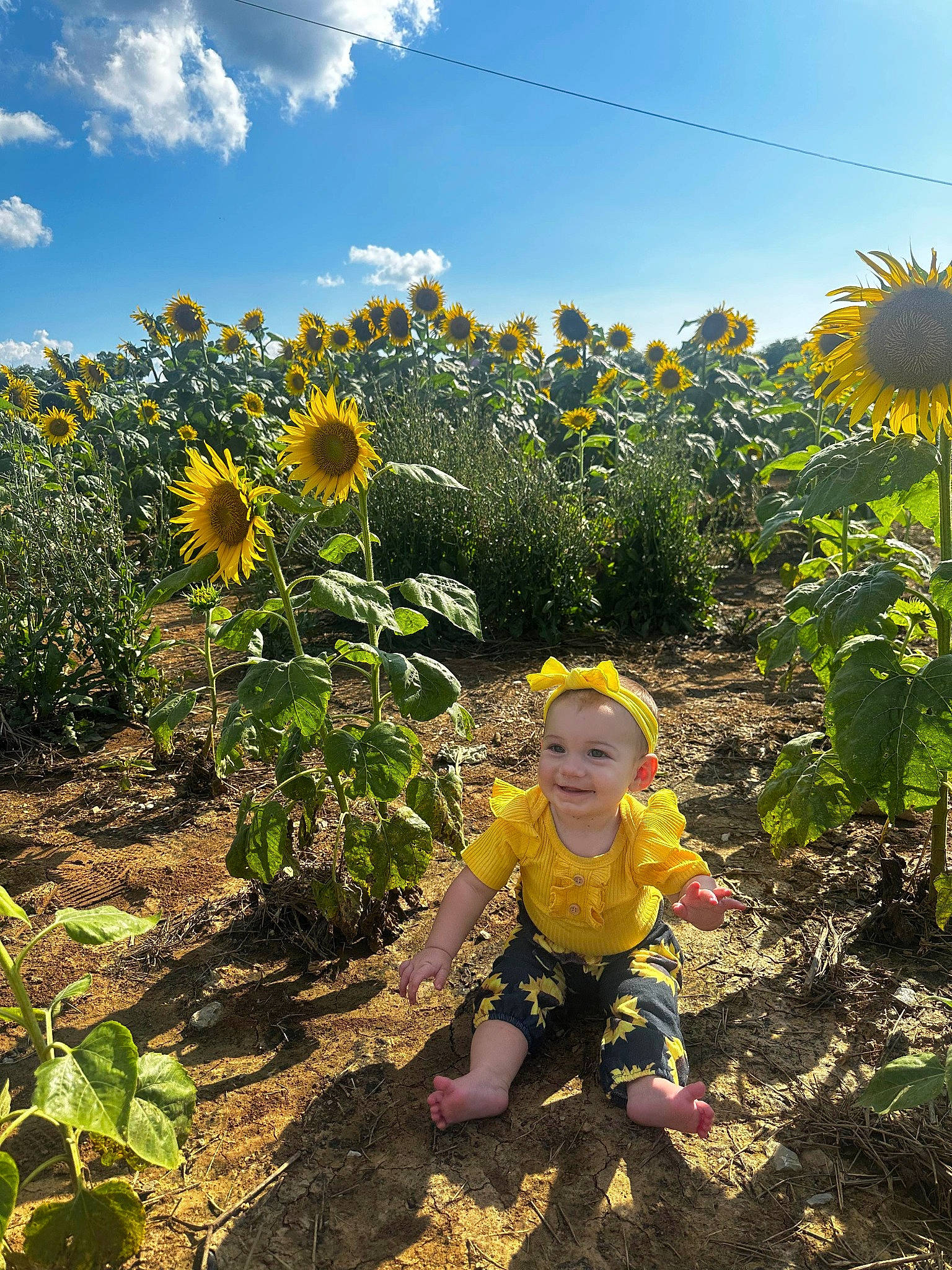 Blakeleigh is registered to the contest to win money with this photo: agriculture, annual_plant, cloud, field, flower, flowering_plant, grass, grassland, happy, joy, landscape, meadow, people_in_nature, person, petal, plant, prairie, rural_area, sky, sunflower